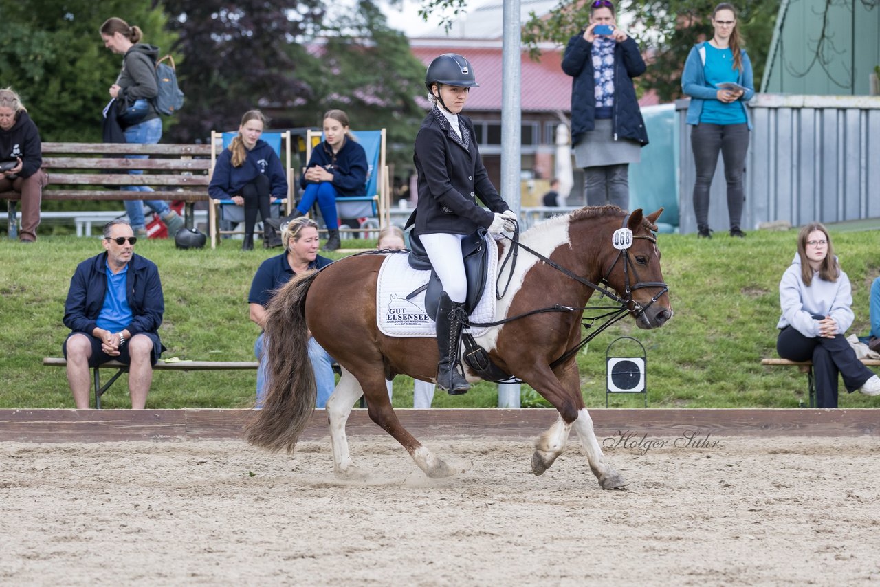 Bild 309 - Pony Akademie Turnier